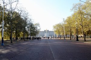 Read more about the article Where to Buy fentanyl in Victoria Square Mall in City Centre, Belfast