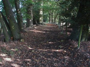 Read more about the article Where to Buy fentanyl in Castle Street in Bracknell, Bracknell