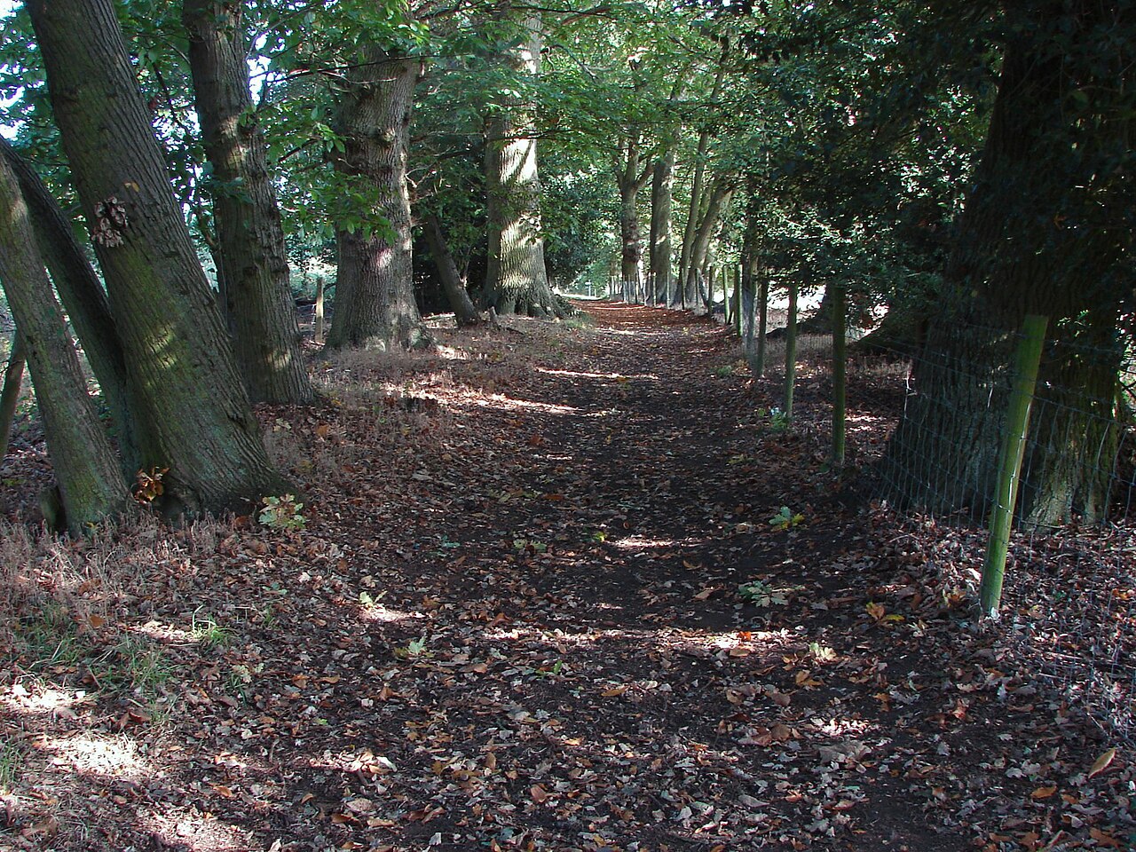 Read more about the article Where to Buy fentanyl in Castle Street in Bracknell, Bracknell