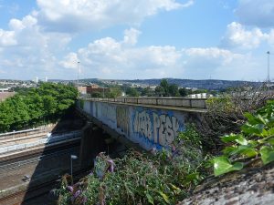 Read more about the article Where to Find fentanyl in Bridge Street in Brighton & Hove, Brighton & Hove
