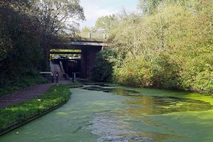 Read more about the article Where to Find fentanyl in Bridge Street in Dudley, Dudley