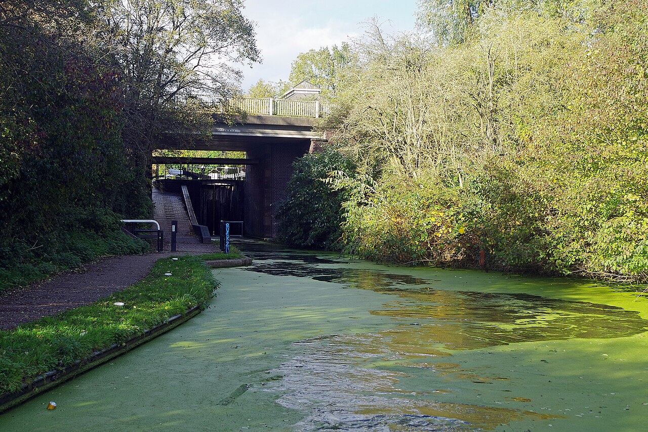Read more about the article Where to Find fentanyl in Bridge Street in Dudley, Dudley
