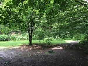 Read more about the article Where to Find fentanyl in Queen Street in Farnborough, Farnborough