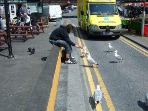 Read more about the article Where to Find fentanyl in George Street in Folkestone, Folkestone