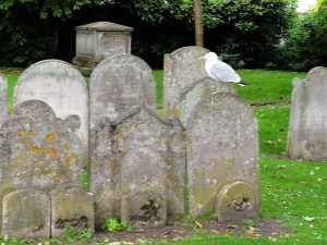 Read more about the article fentanyl in Church Street in Folkestone, Folkestone