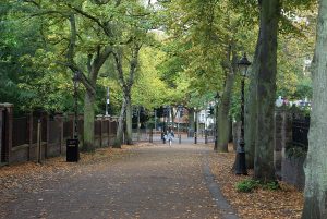 Read more about the article Where to Buy fentanyl in The Promenade in Leicester, Leicester