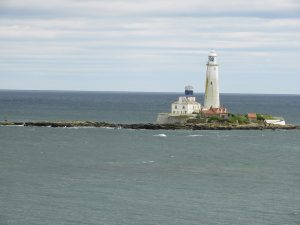 Read more about the article Best Places to Buy fentanyl in St Mary’s Street in Tynemouth, Tynemouth: Authorized & Trusted Dealers