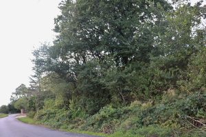 Read more about the article fentanyl in North Street in Wokingham, Wokingham