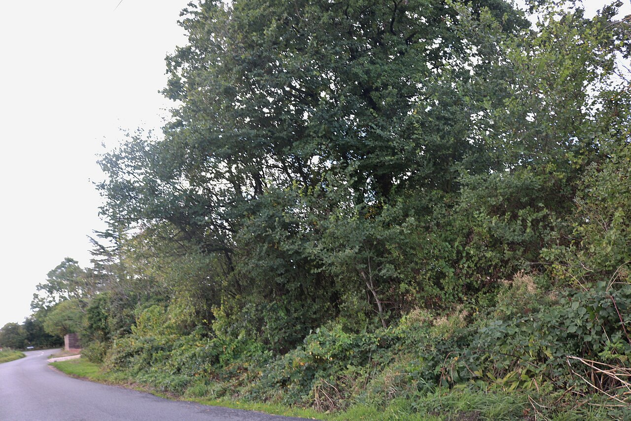 Read more about the article fentanyl in North Street in Wokingham, Wokingham